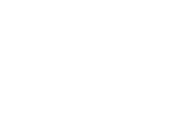 Santri Sistemas